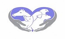 عيادة النخبة البيطرية - متاجر