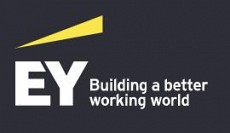 إي واي - شركات