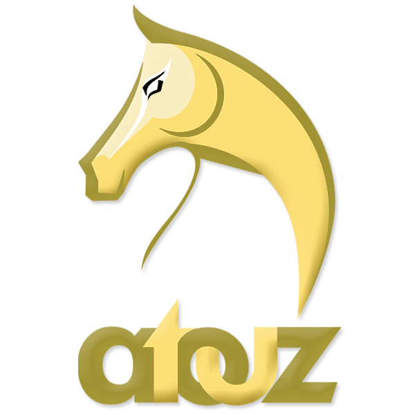 اتوز فيرنتشر - متاجر