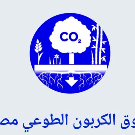شهادات الكربون مصر - عام