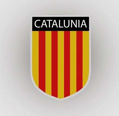 Catalunia Academy - عام